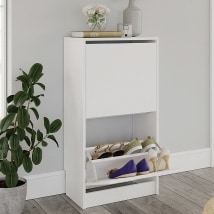 Shoe Storage Cabinet with Compartments