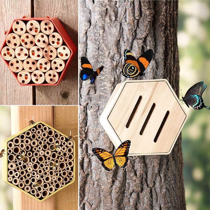 Insect Houses