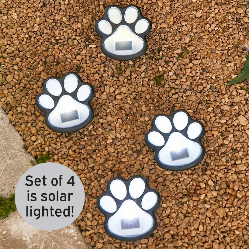 Solar Paw Print Pathway Lights
