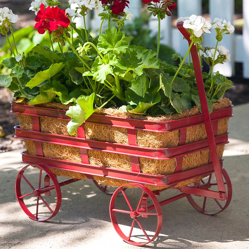 Red Wagon Planter with Liner