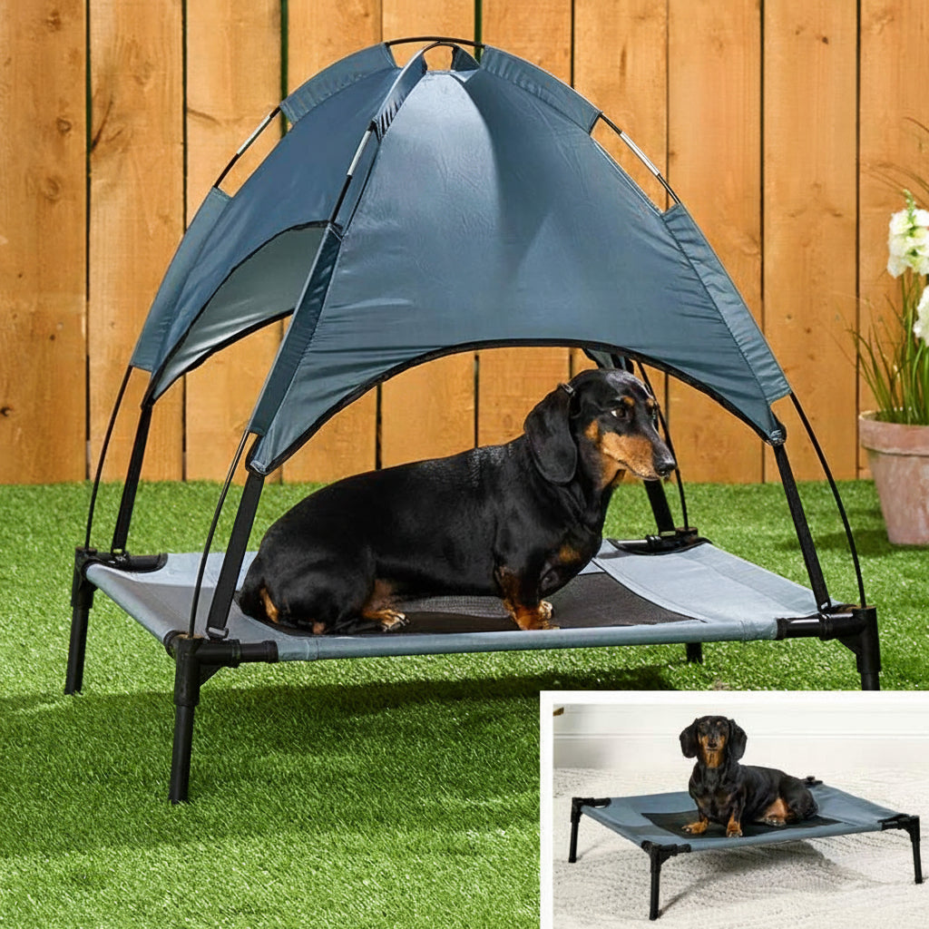 Elevated Pet Bed with Canopy