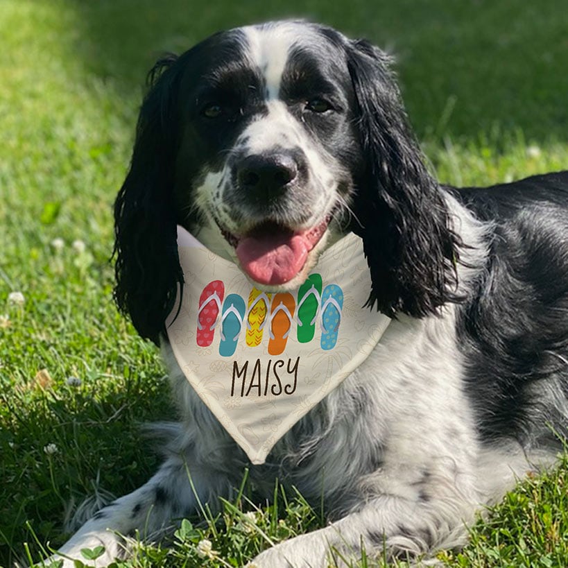 Personalized Dog Bandana Flip Flops