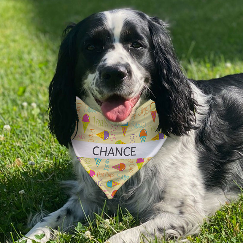 Personalized Dog Bandana Ice Cream