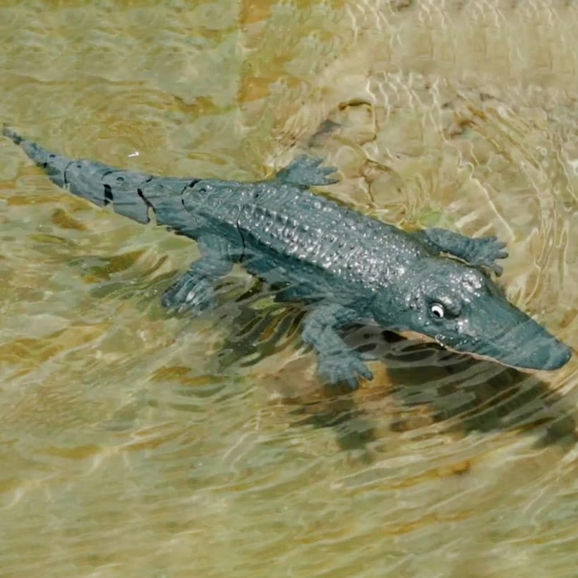 Remote-Controlled Robocroc 2.4G