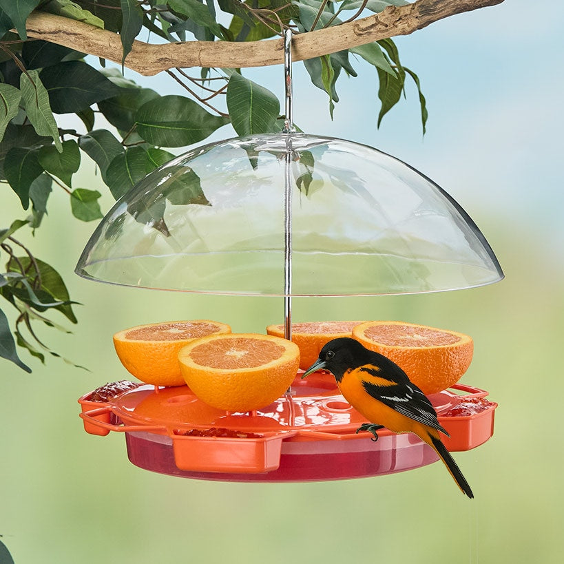 Oriole Food And Nectar Feeder