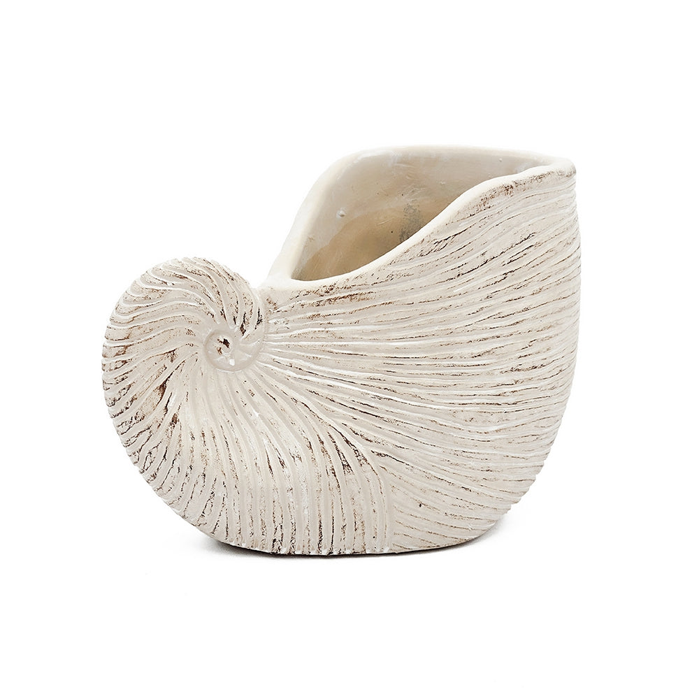 8.5x5.5x6.3" Sand and Cement Nautilus Shell Planter with Textured Beige Finish - image 6