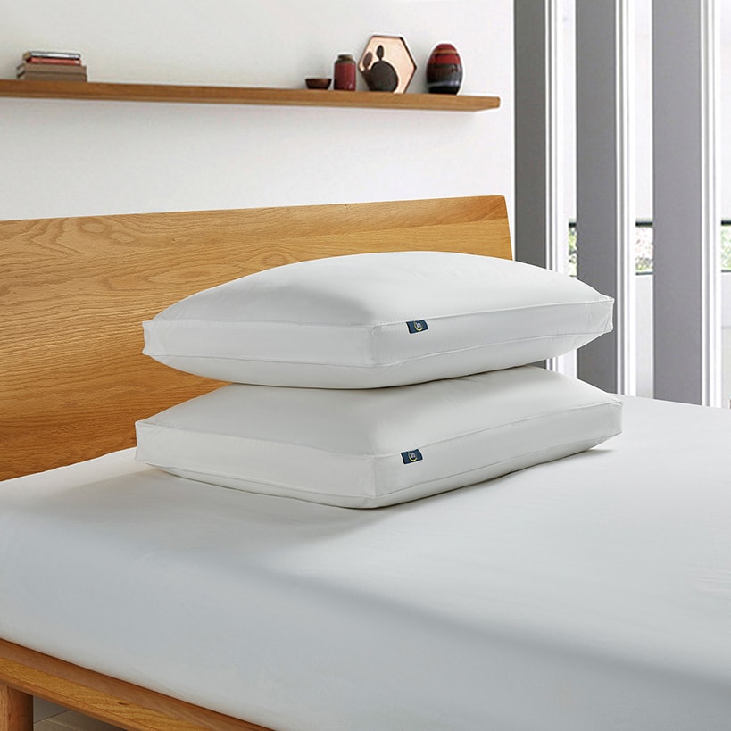 Serta White Goose Feather and Down Fiber Gusseted Pillow 2-Pk