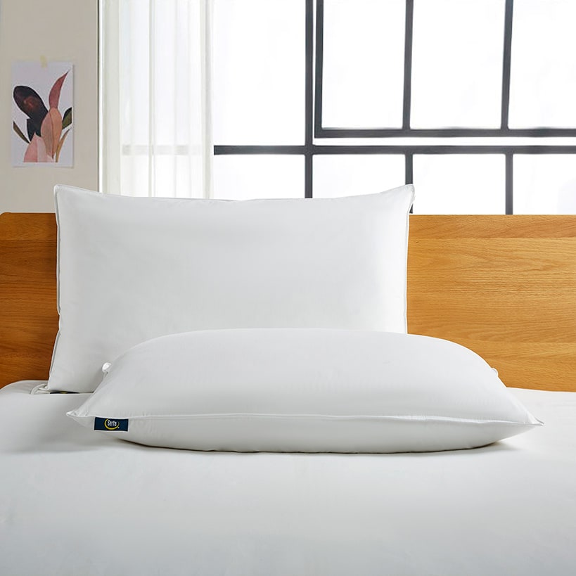 Serta White Goose Feather and Down Fiber Pillows 2-Pk.