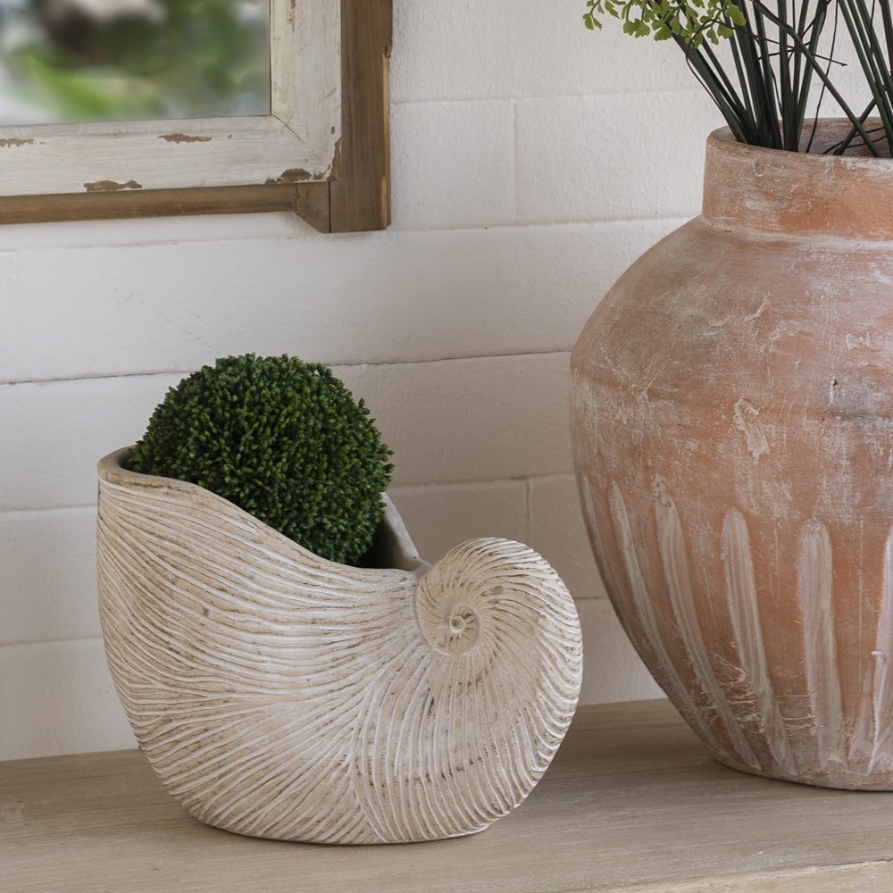8.5x5.5x6.3" Sand and Cement Nautilus Shell Planter with Textured Beige Finish