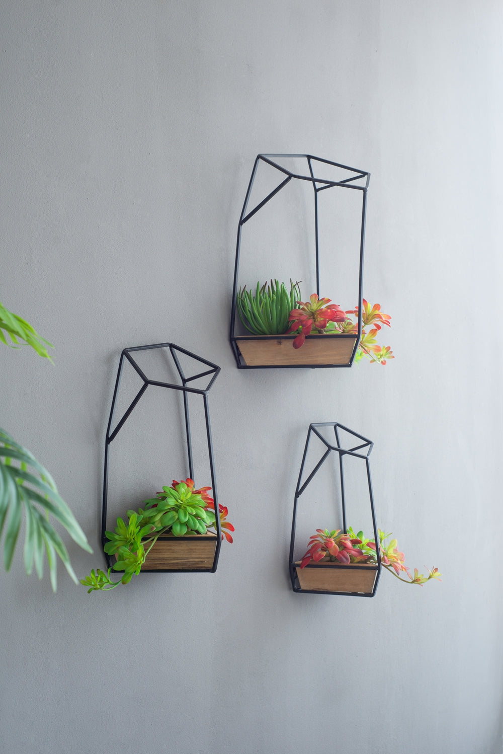 Set of 3 Felix Wall Planter, L:10x10x16.5" M:8.5x8.5x15.5" S:7x7x13.5"