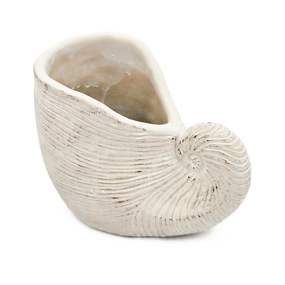 8.5x5.5x6.3" Sand and Cement Nautilus Shell Planter with Textured Beige Finish - image 2