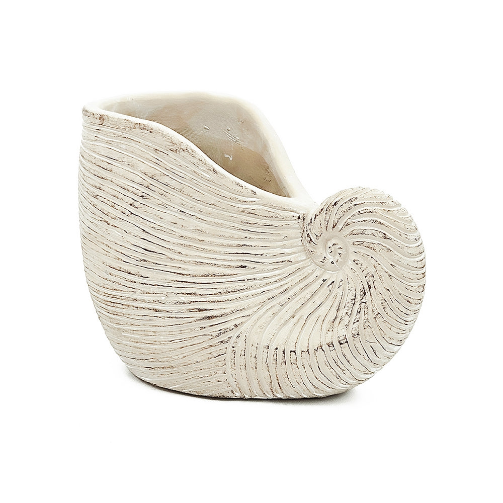 8.5x5.5x6.3" Sand and Cement Nautilus Shell Planter with Textured Beige Finish - image 3