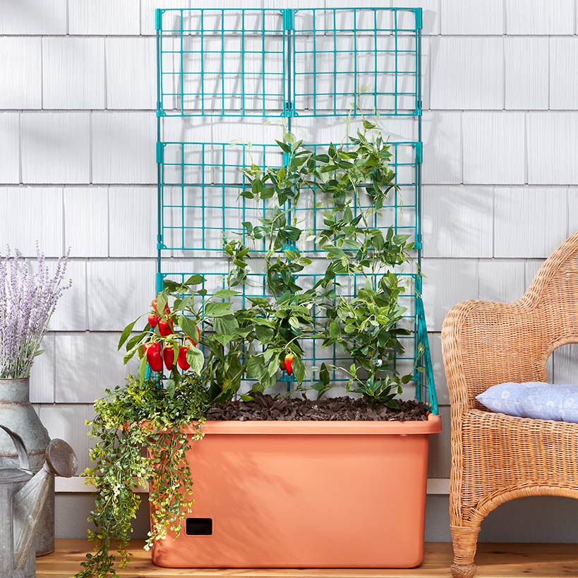 rolling trellis planter Lakeside Vegetable Planter With Wheels And Trellis-58 Inch Self Watering