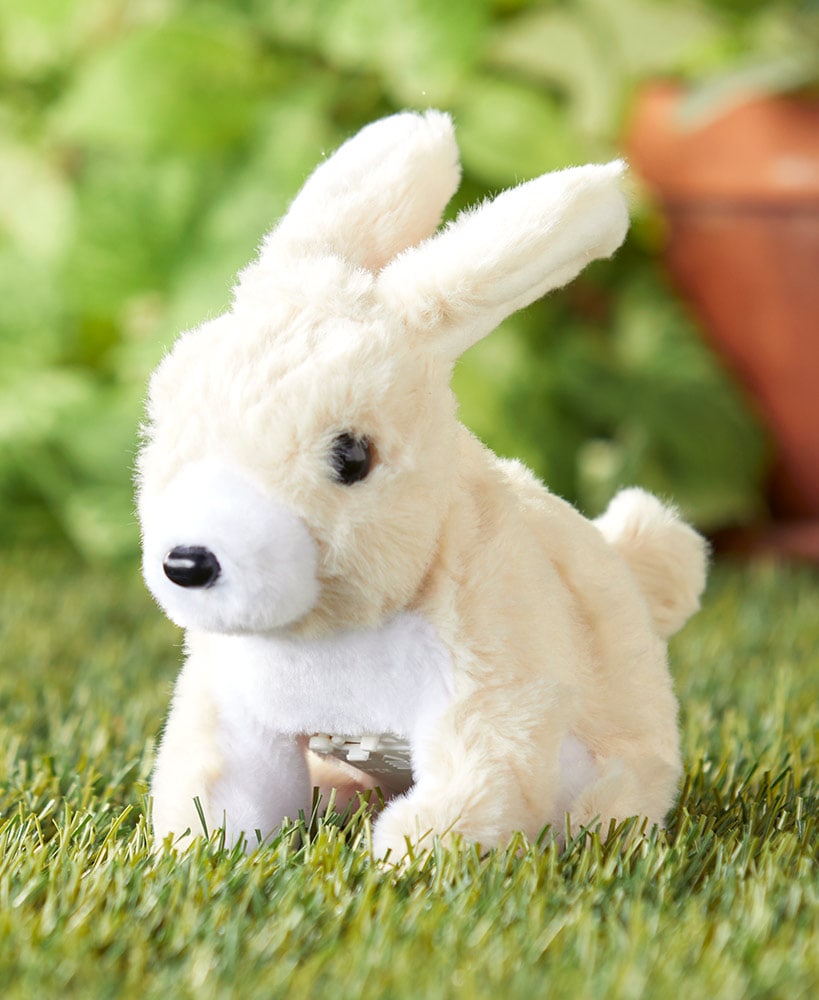 Hoppy the Rabbit and Friends