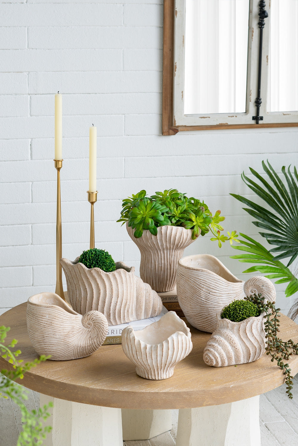 8.5x5.5x6.3" Sand and Cement Nautilus Shell Planter with Textured Beige Finish - image 14