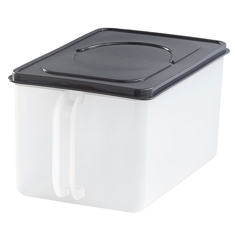 Clear Food Storage Container with Handle