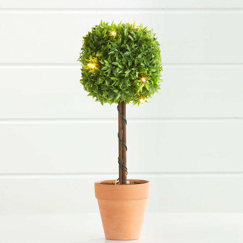 Lighted Faux Boxwood Topiaries or Wreath