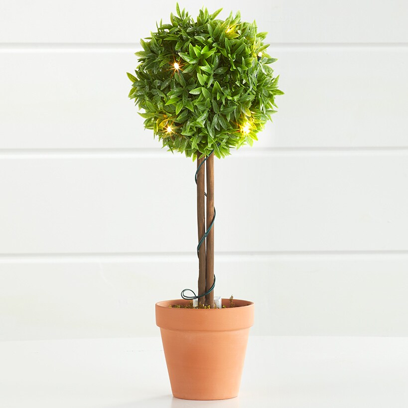 Lighted Faux Boxwood Topiaries or Wreath