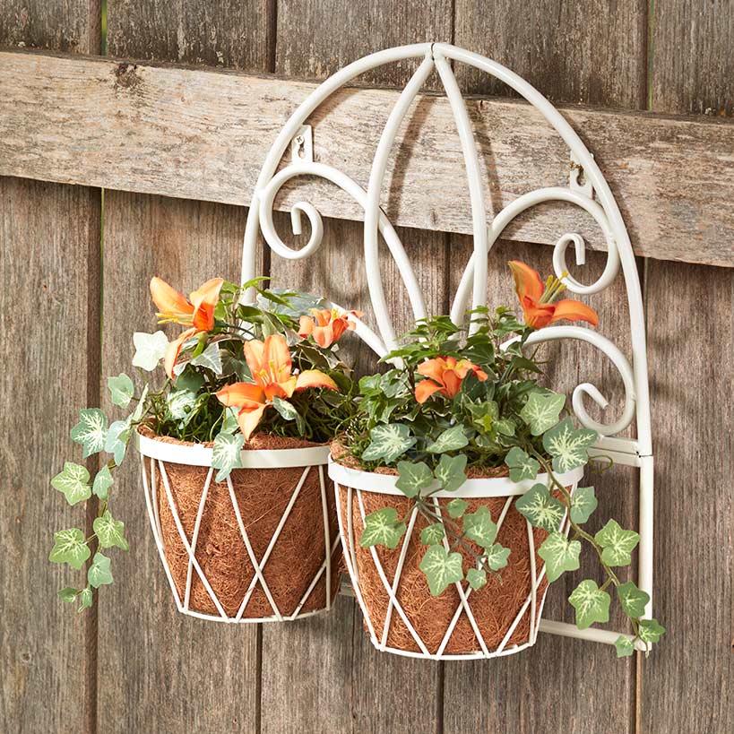 Decorative Wall Planters with Coir Liners