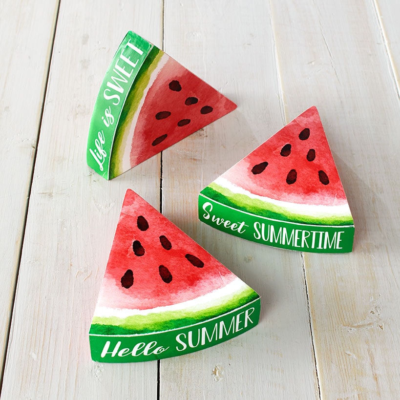 Set of 3 Summertime Watermelon Sentiments