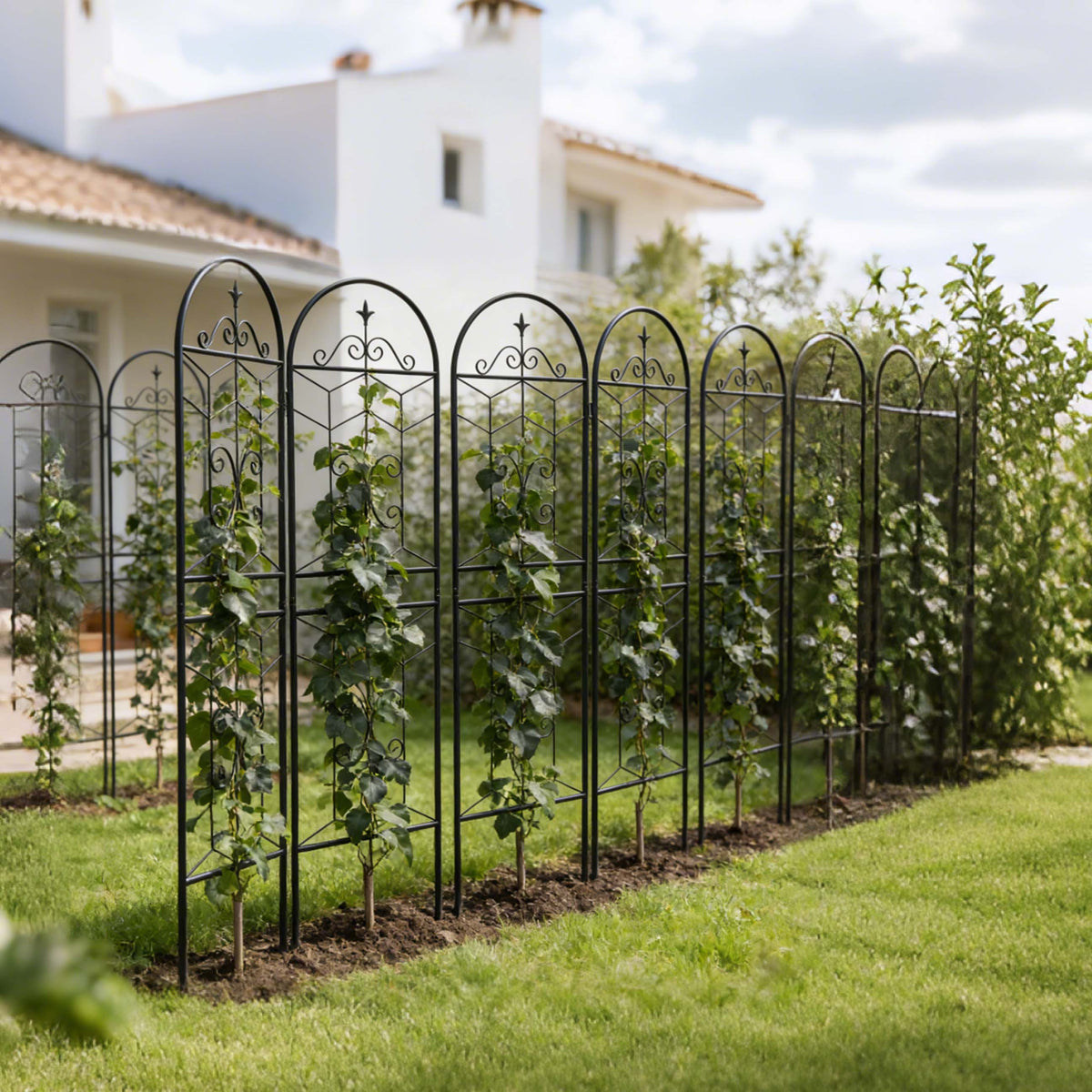 4 Pack Metal Garden Trellis 71" x 19.7" Rustproof Trellis for Climbing Plants Outdoor Flower Support Black - image 9