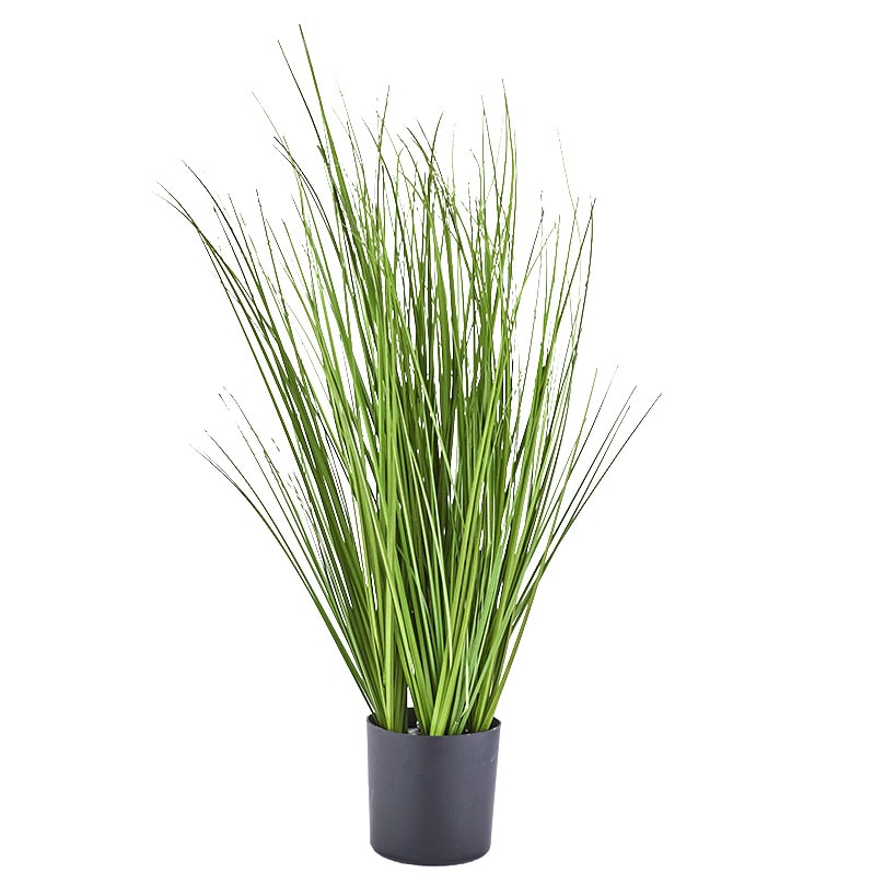 Artificial Forever Plants