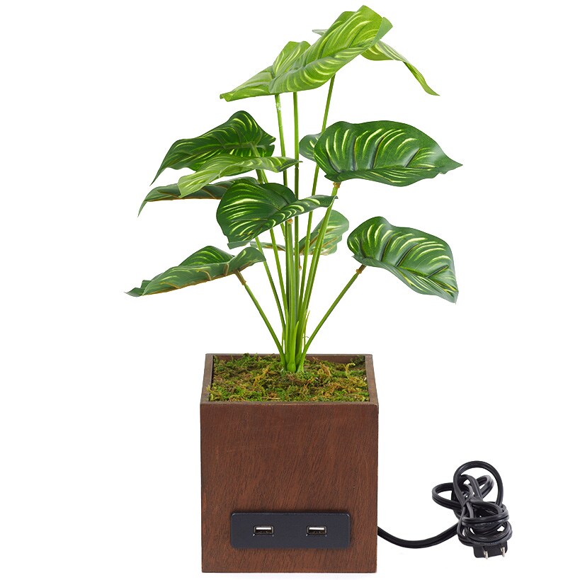 Artificial House Plant with USB Port