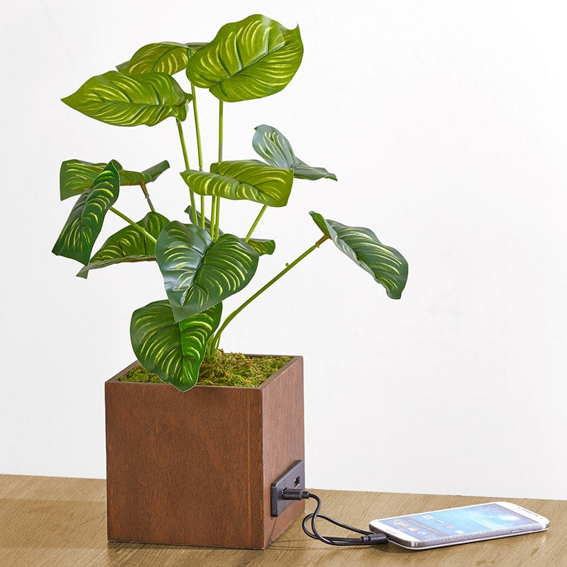 Artificial House Plant with USB Port