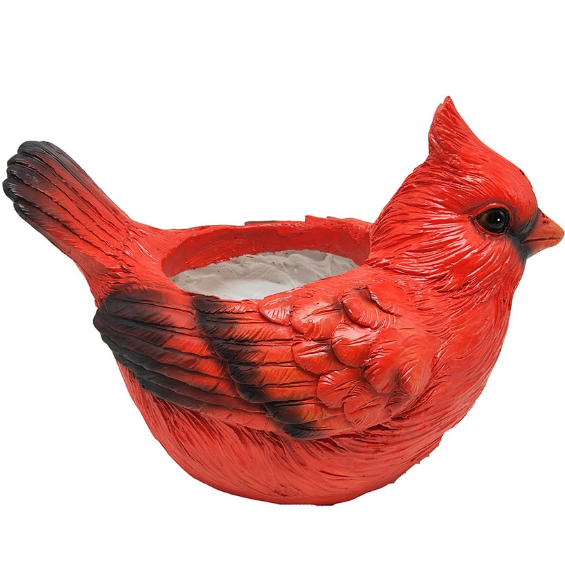 Cardinal Planter