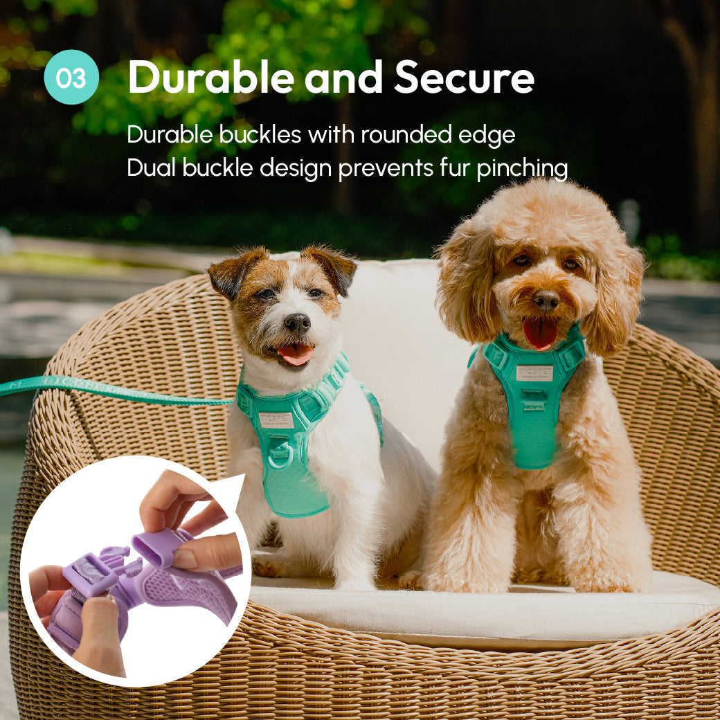 NO PULL ACTIVE PET HARNESS - MINT GREEN