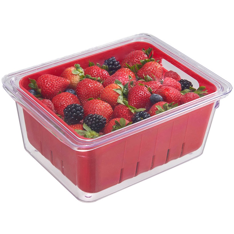 FridgeMate Square Bin with Berry Basket