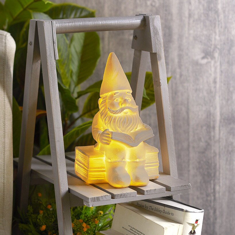 Illuminating Tabletop Gnome