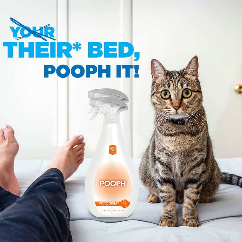 Pooph® Pet Odor And Stain Eliminator Or Kitty Spray Odor Eliminator