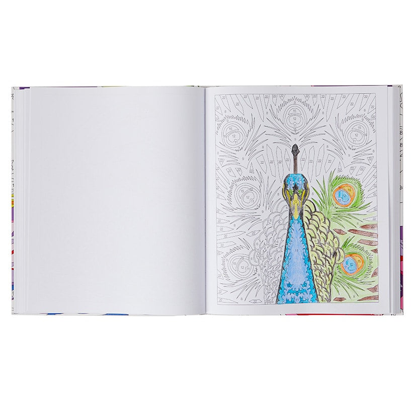 Large Print Activity Books