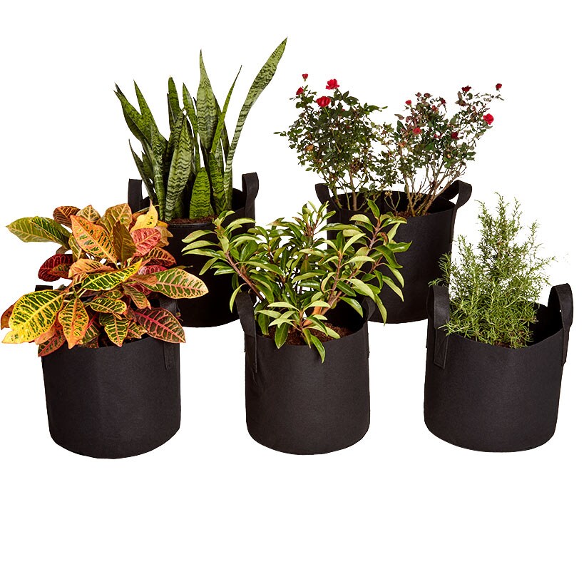 7 Gallon Grow Bags Set Of 5 With Built In Handles