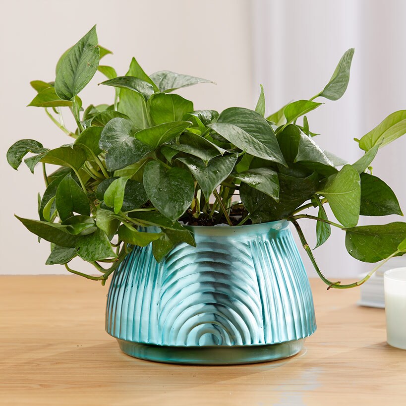 Ribbed Metal Planter