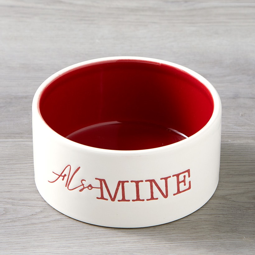 Pet Bowl