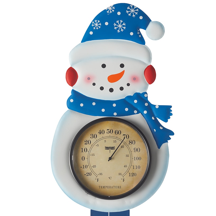 Snow Gauge and Thermometers