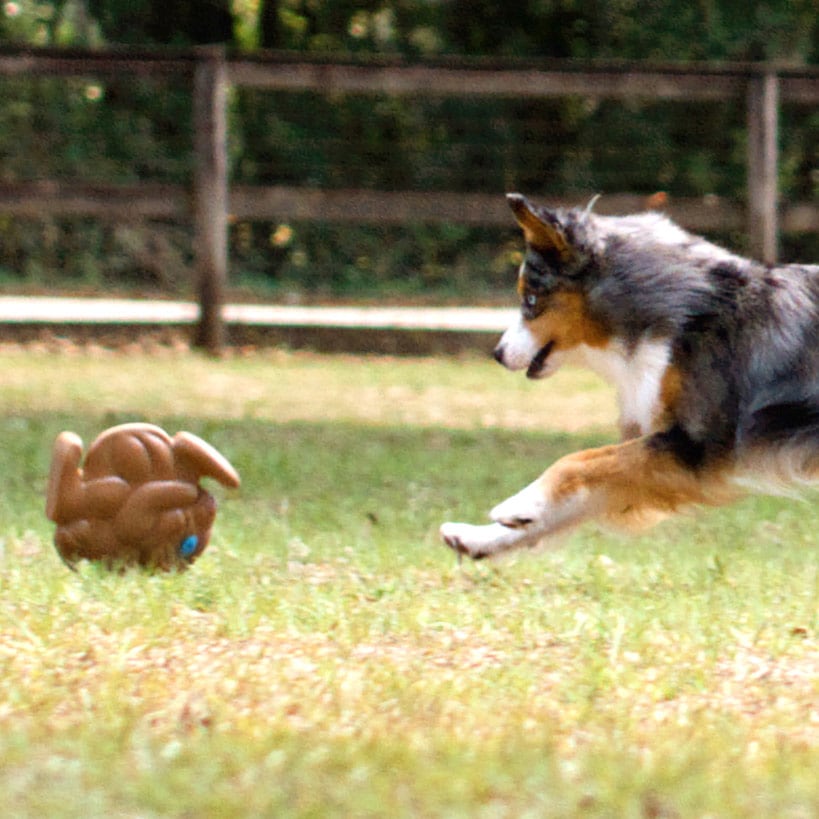Pet Knows Best™ SquWhirl™ Dog Toy - Fun Whistling Disc for Endless Playtime
