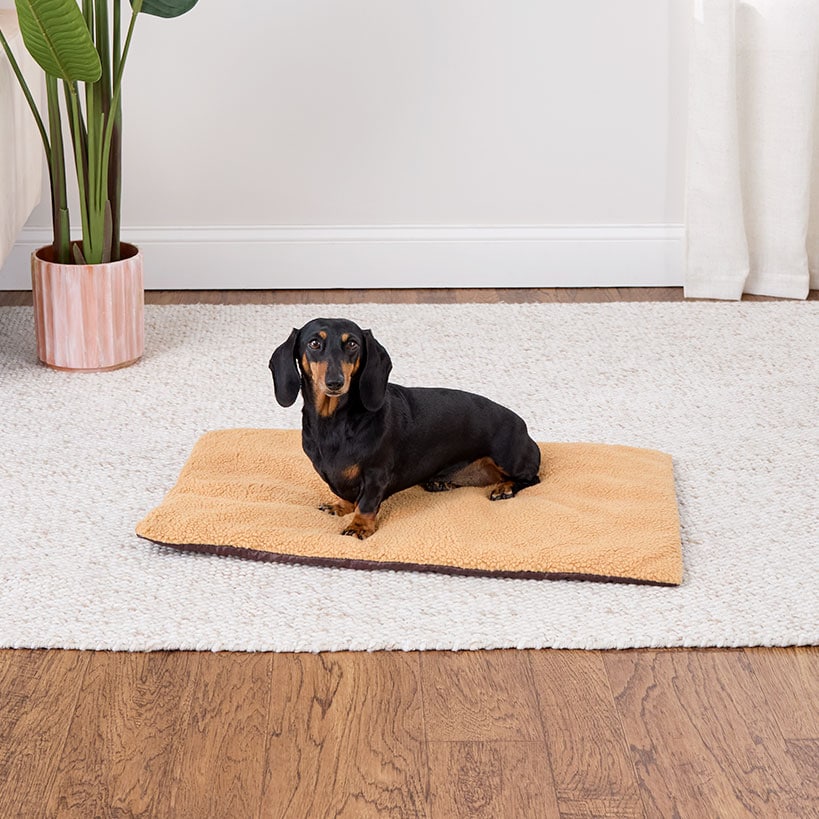 Warming Pet Mats