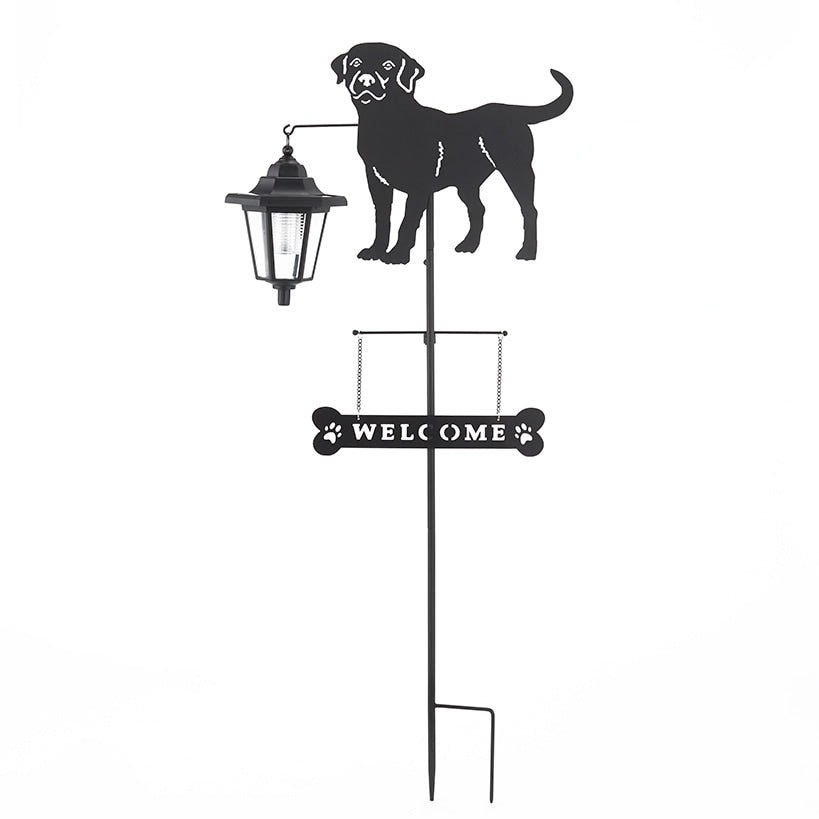 Solar Dog Breed Welcome Stakes