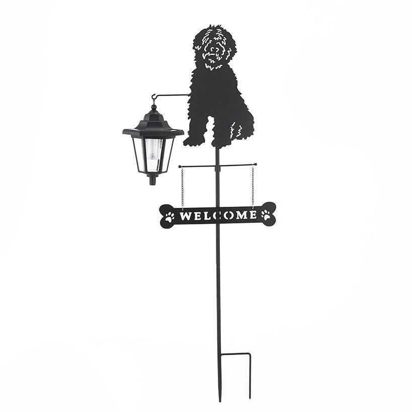 Solar Dog Breed Welcome Stakes