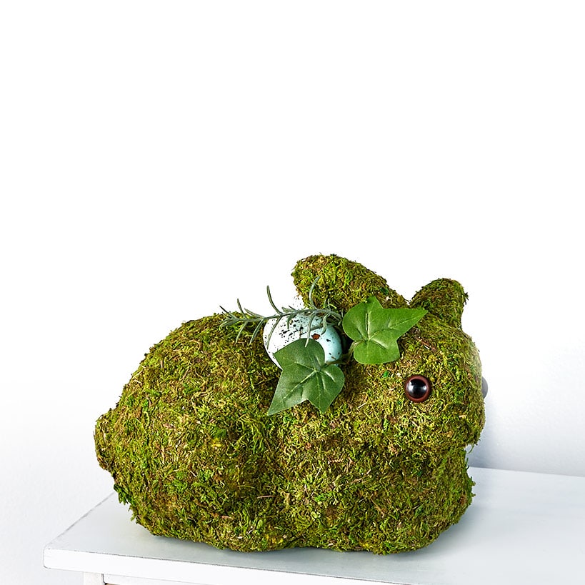 Spring Woodland Forest Home Collection