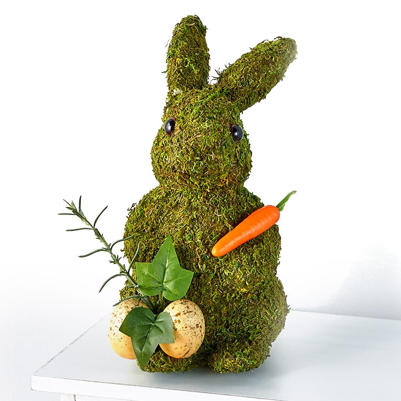 Spring Woodland Forest Home Collection