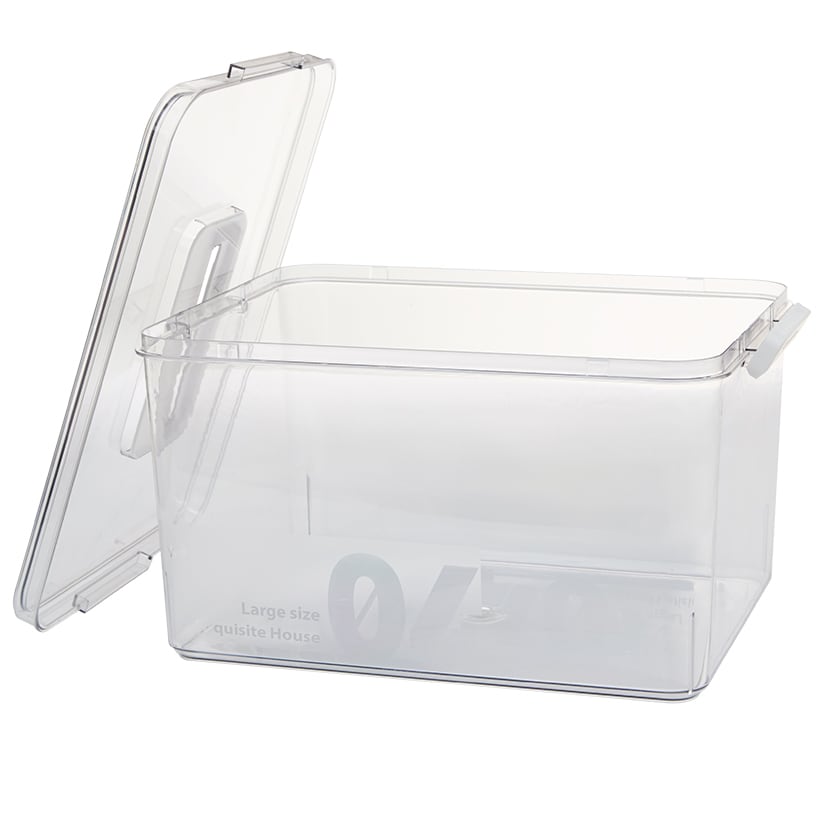Storage Container with Lid and Handle