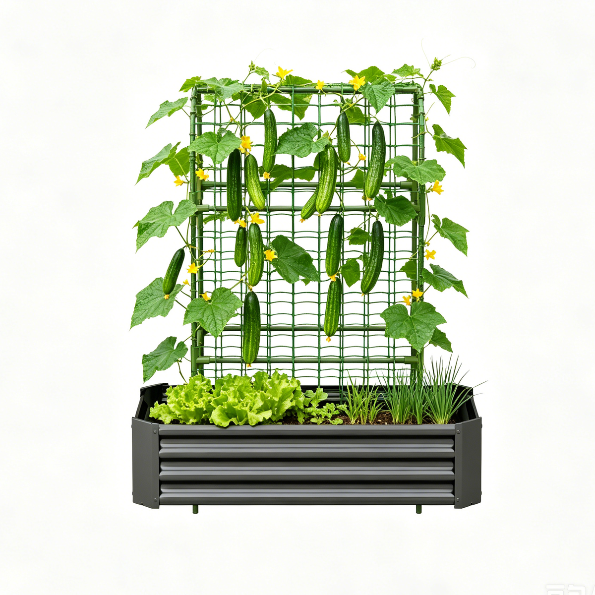2-in-1 Raised Garden Bed with Trellis - 59" Tall Arch Planter Box for Climbing Plants, Outdoor Galvanized Metal Gardening Bed for Vegetables, Fruits, Flowers (Black, 4x2x1 Ft) - image 8