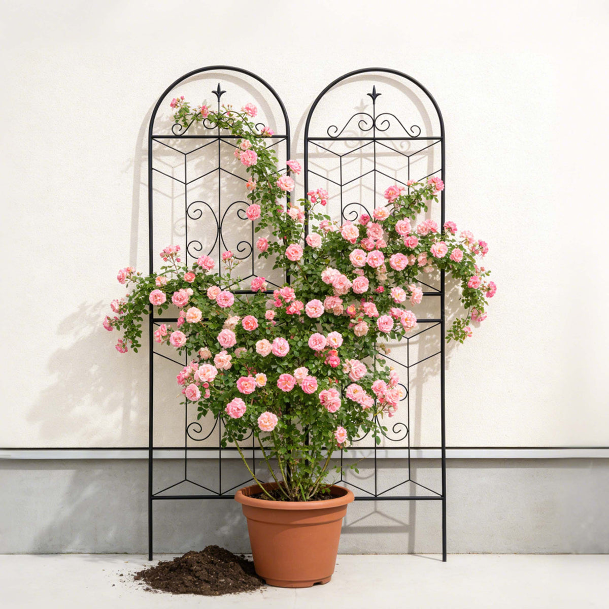 2 Pack Metal Garden Trellis 71" x 19.7" Rustproof Trellis for Climbing Plants Outdoor Flower Support Black - image 5