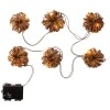 Lighted Grapevine Collection - String Lights