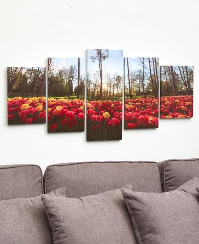 5-Pc. Canvas Wall Art Sets - Tulip Field