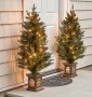 Set of 2 Lighted Porch Trees
